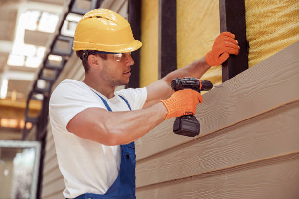 Best Historical Building Siding Restoration  in Carlyle, IL